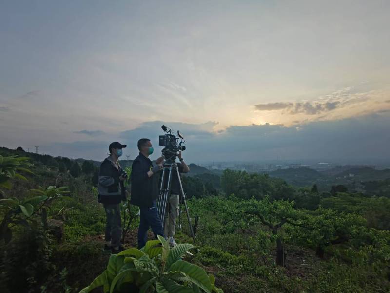 创意破圈！襄州区电商产品宣传视频用故事化叙事引爆流量