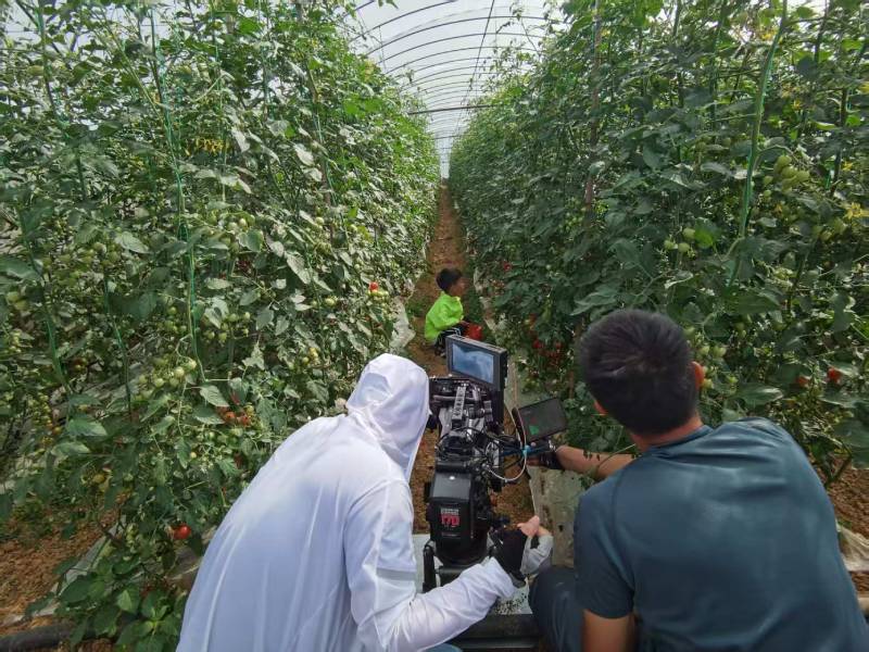 襄州区产品宣传视频拍摄公司进阶指南，助力品牌抢占传播高地